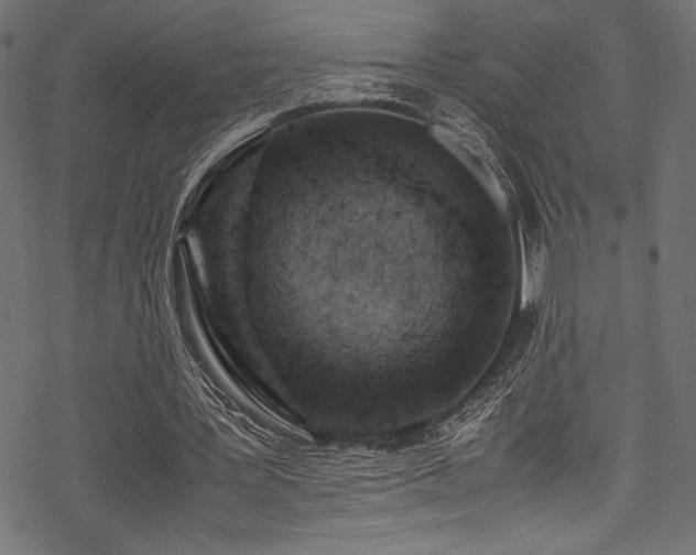 X0000070190387200605261203