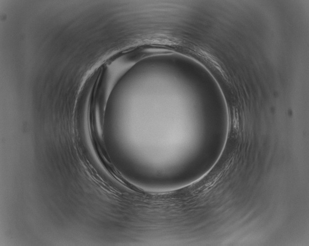 X0000070190388200605261203