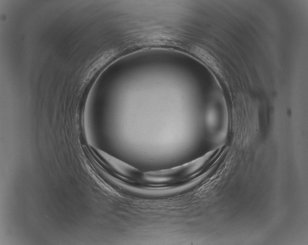 X0000070190389200605261203