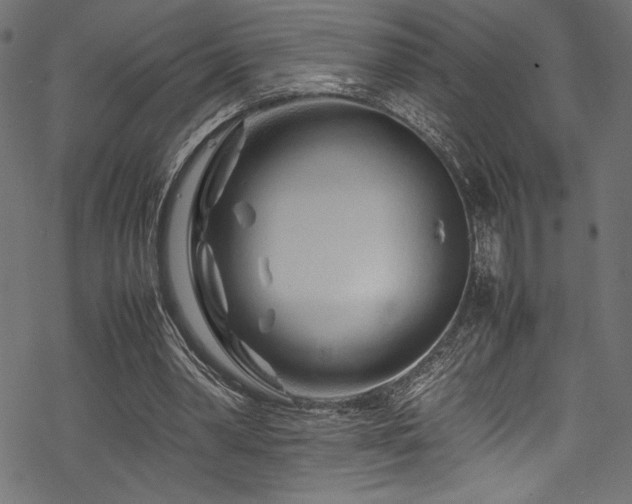 X0000070190390200605261203