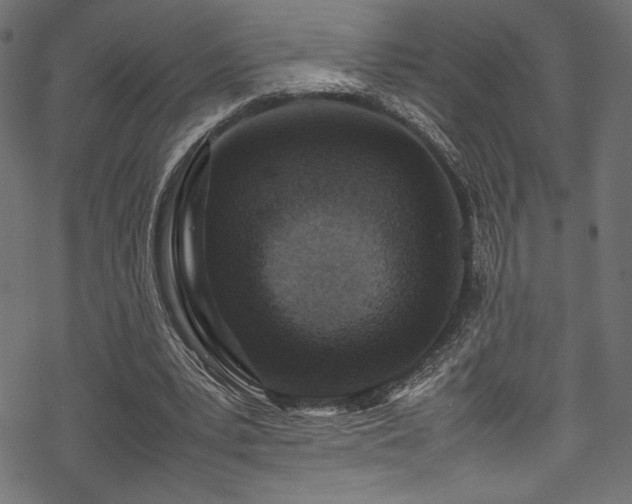 X0000070190391200605261203