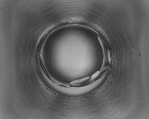 X0000070190392200605261203