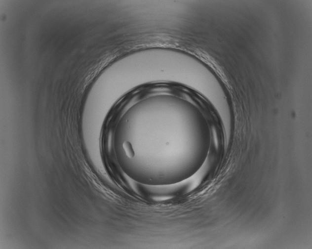 X0000070190393200605261203