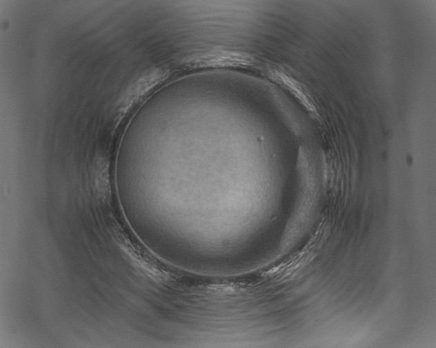 X0000070190394200605261203