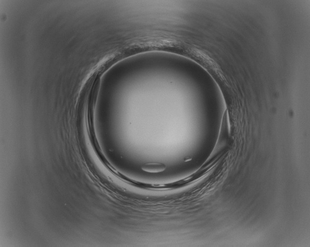 X0000070190395200605261203