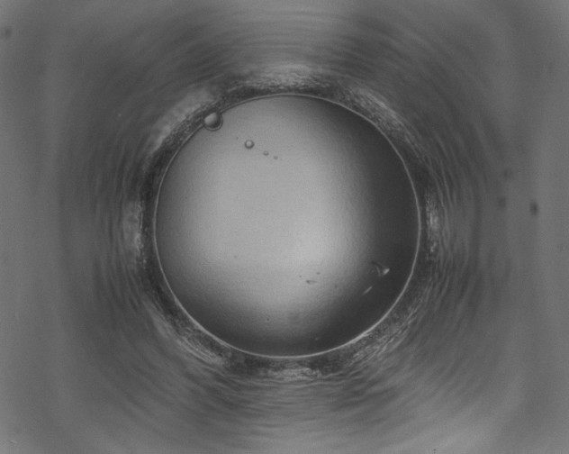 X0000070190396200605261203