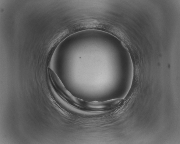 X0000070190397200605261203