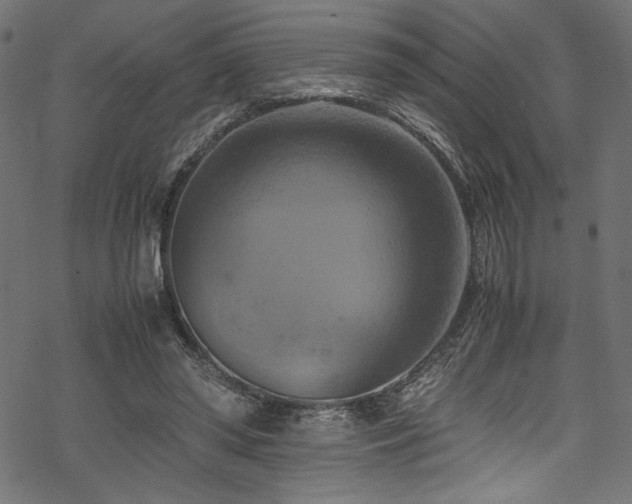 X0000070190398200605261203