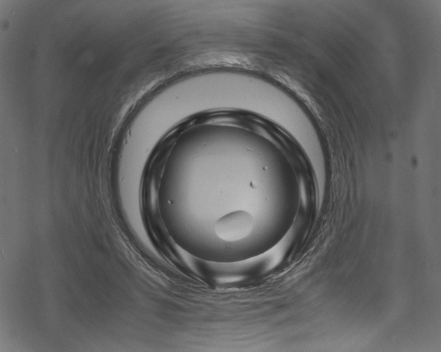 X0000070190399200605261203