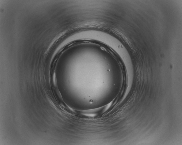 X0000070190400200605261203