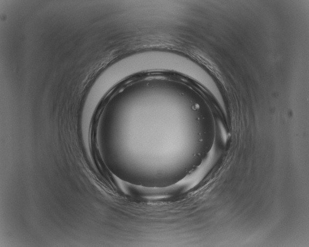 X0000070190401200605261203