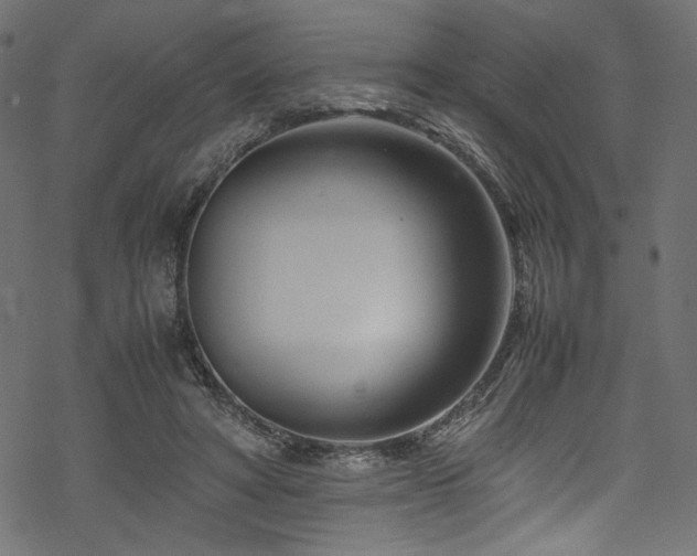 X0000070190402200605261203