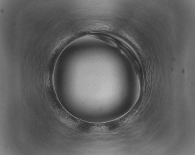 X0000070190403200605261203