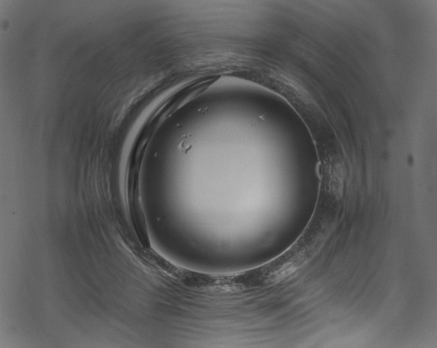 X0000070190404200605261203