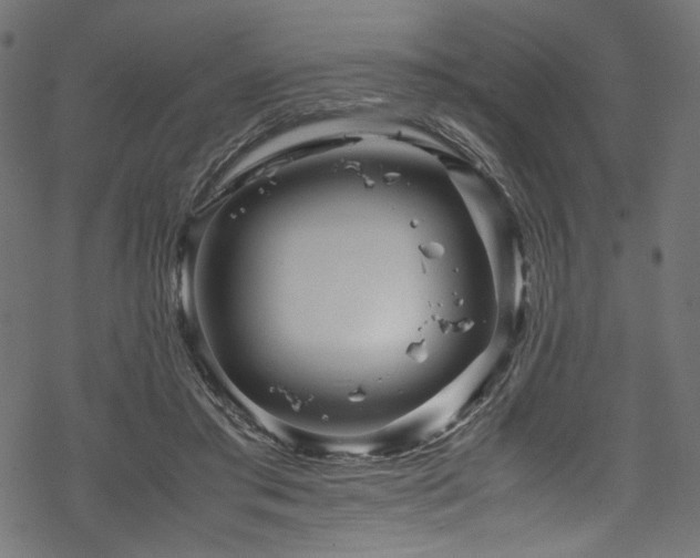 X0000070190405200605261203