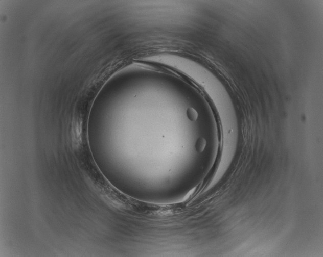 X0000070190406200605261203