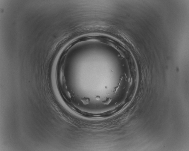 X0000070190407200605261203