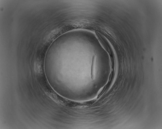 X0000070190408200605261203