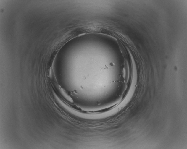 X0000070190409200605261203