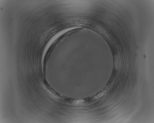 X0000070190410200605261202