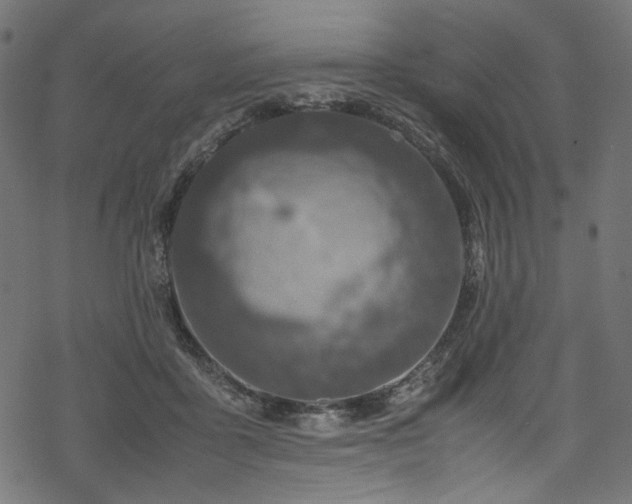 X0000070190411200605261202