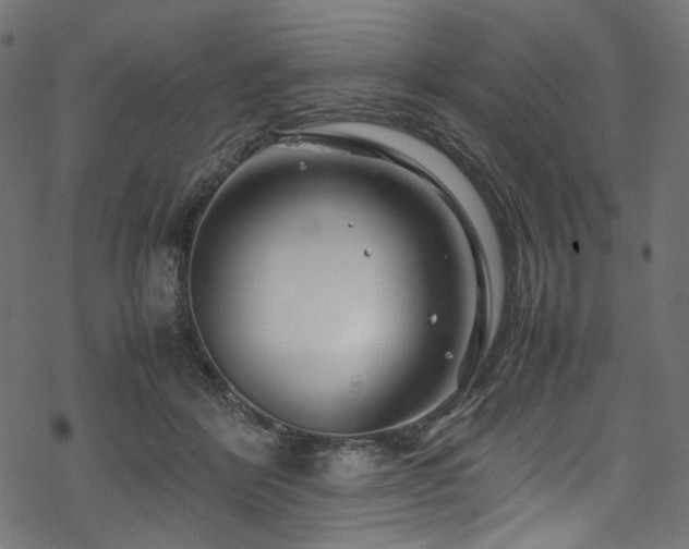 X0000070190412200605261202