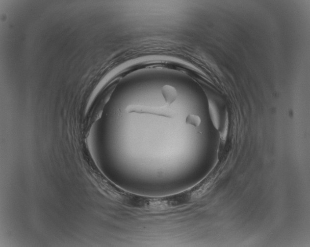 X0000070190413200605261202