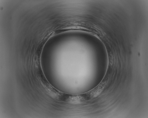 X0000070190414200605261202