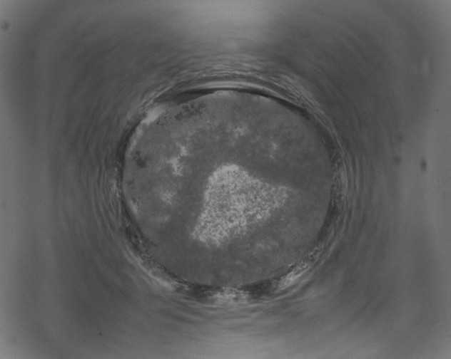 X0000070190415200605261202