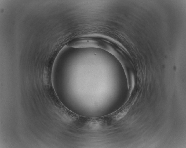 X0000070190416200605261202