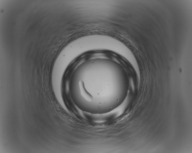 X0000070190417200605261202