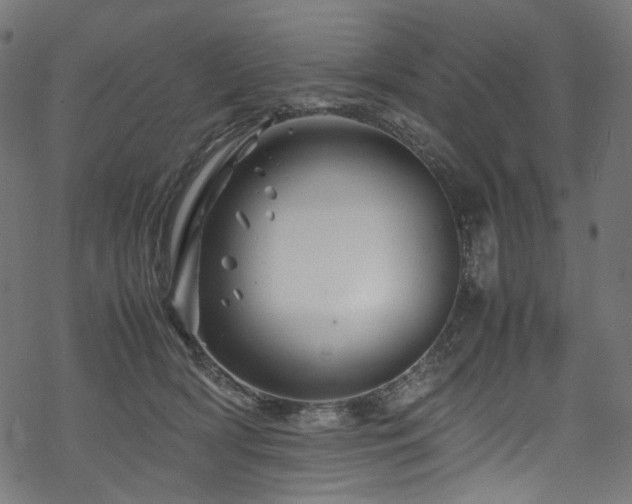 X0000070190418200605261202