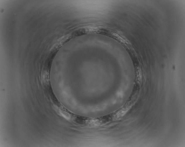 X0000070190419200605261202