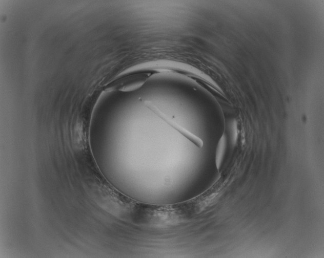 X0000070190420200605261202