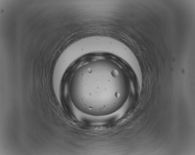 X0000070190421200605261202