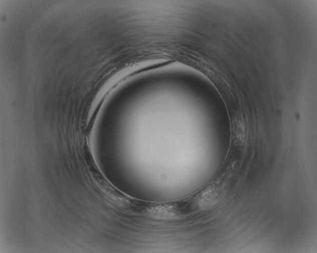 X0000070190422200605261202