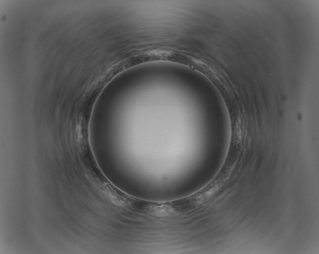 X0000070190424200605261202