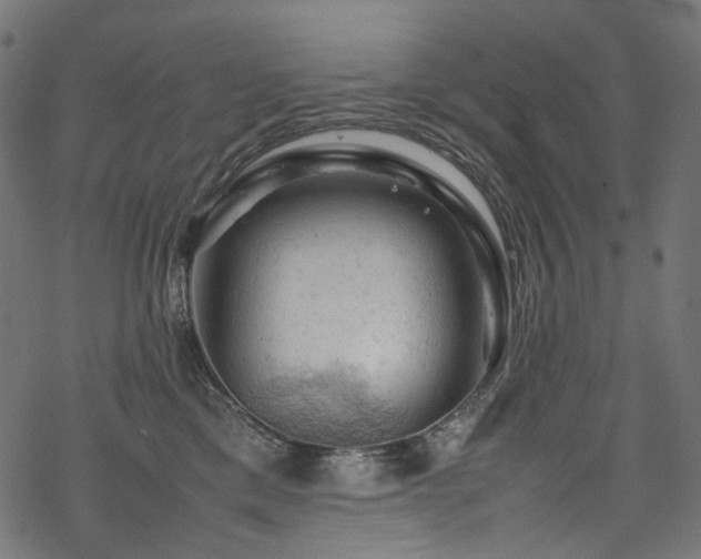 X0000070190425200605261202