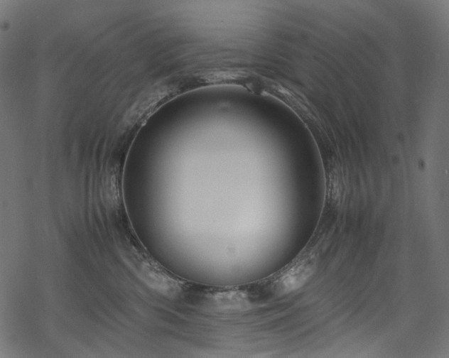 X0000070190426200605261202