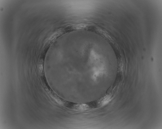 X0000070190427200605261202