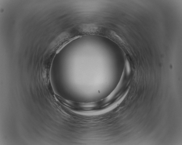 X0000070190428200605261202