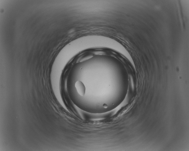 X0000070190429200605261202