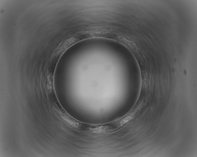 X0000070190430200605261202