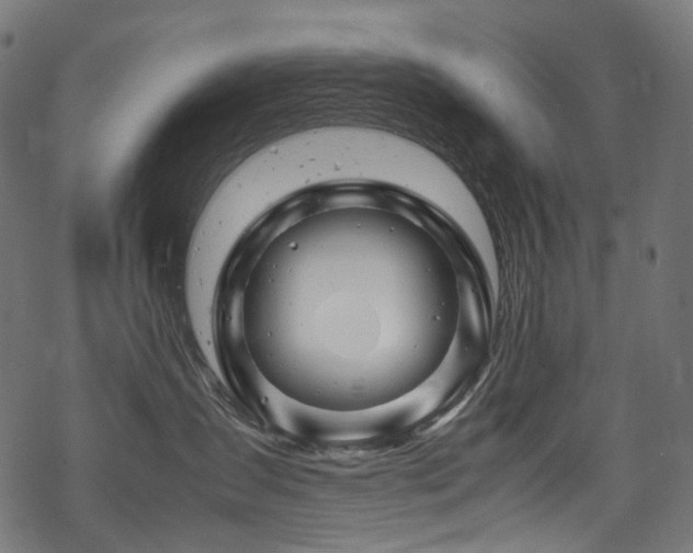 X0000070190431200605261202