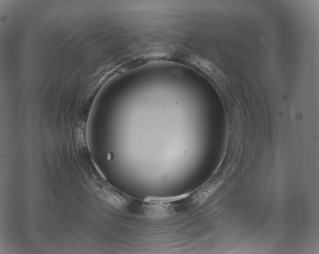 X0000070190432200605261202