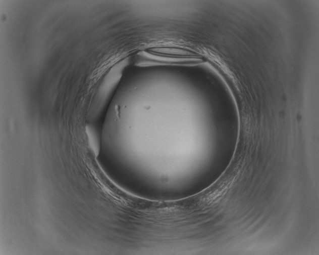 X0000070190433200605261201