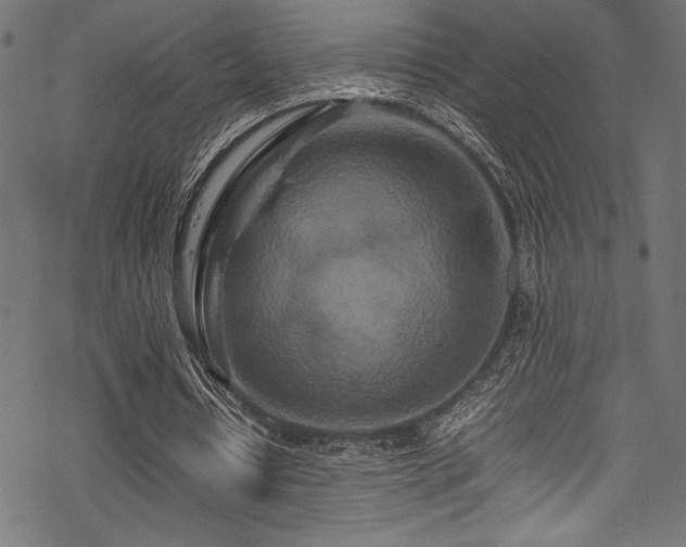 X0000070190434200605261201