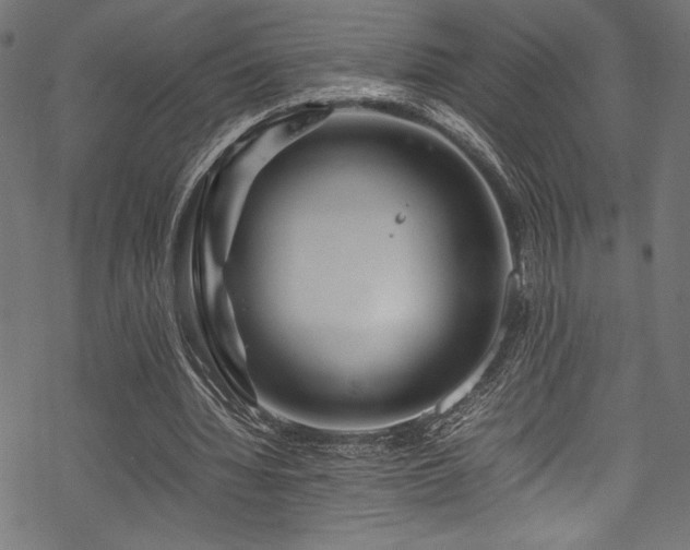 X0000070190436200605261201