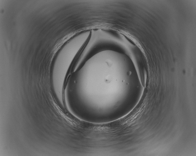 X0000070190437200605261201