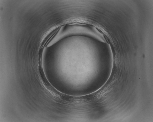 X0000070190438200605261201